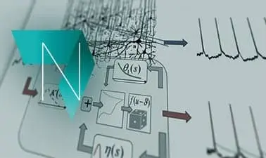 Neuronal Dynamics